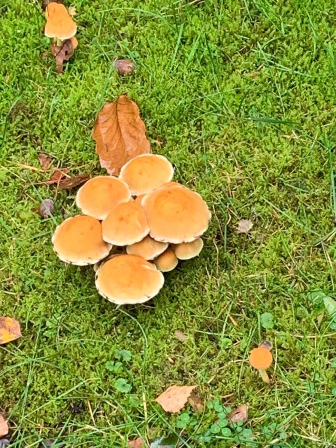 Vosseveen 62 Zelhem Esterno foto